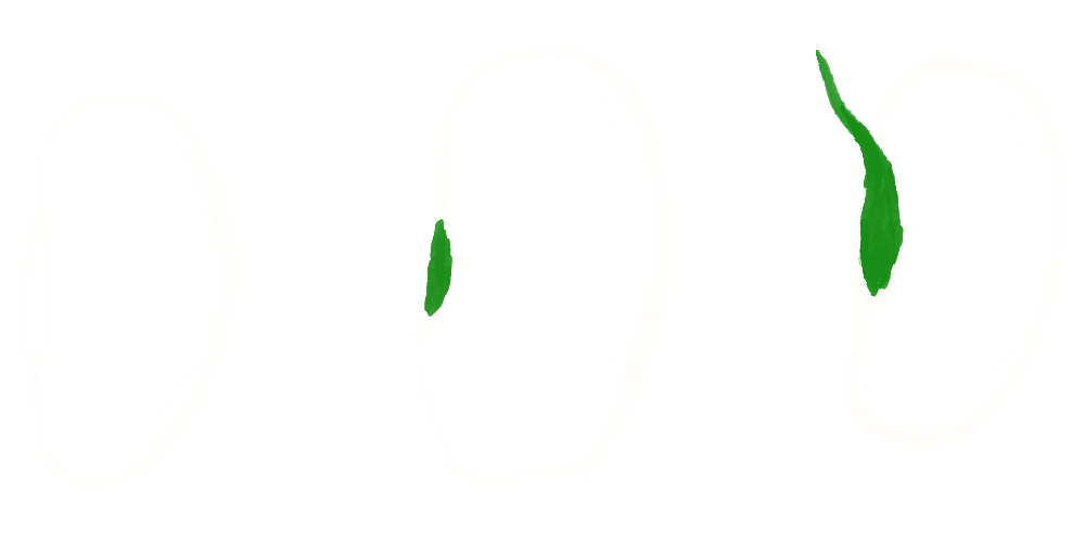 Three Beans